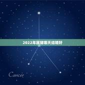 2022年属猪哪天结婚好，2023年1月份黄道吉日结婚女的属猪男的属鸡