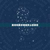 属龙和属羊姻缘怎么样算命 ，龙女配什么生肖更好