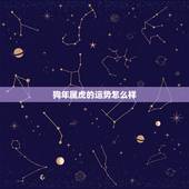 狗年属虎的运势怎么样，属狗和属虎在一起做生意财运如何