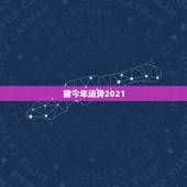 猪今年运势2021，属猪今年运势2021年运势