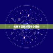 和猪不匹配的是哪个属相，属猪的跟什么属相不和