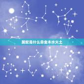 属蛇是什么命金木水火土，属虎的是金木水火土哪个命