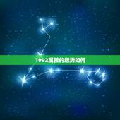 1992属猴的运势如何，1992年属猴者，五行属剑锋金，今年运势如何？