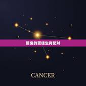 属兔的更佳生肖配对，属兔婚姻生肖配对