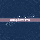 属相鼠本命年可以怀孕吗，属鼠的人，本命年有什么忌讳么？
