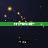 地支相生相克相冲相合，十二生肖中的相生\相克\相冲\相害是什么意思？