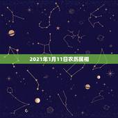 2021年1月11日农历属相，2021年1月份出生的宝宝是什么属相