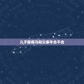 儿子属相马和父亲牛合不合，父亲属马孩子属牛和不和