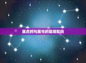 属虎的与属牛的能婚配吗，属牛的和属虎的在一起合适吗？