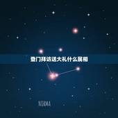 登门拜访送大礼什么属相，去朋友家登门做客拜访送什么礼物好
