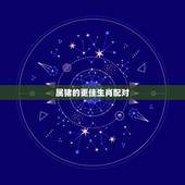 属猪的更佳生肖配对，属牛的更佳生肖配对