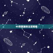 95年属猪的注定婚姻 属猪的女性和什么属相的男性最配