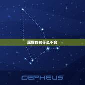 属猴的和什么不合，猴和什么属相不合