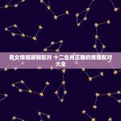 男女婚姻属相配对 十二生肖正确的婚姻配对大全