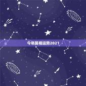 今年属相运势2021，2021运程十二生肖运程每月运势