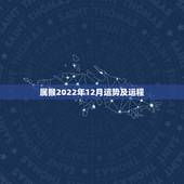 属猴2022年12月运势及运程，2022 年属猪运势及运程每月运程