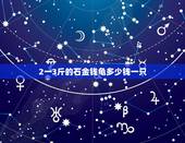 2一3斤的石金钱龟多少钱一只，3.3斤的野生石金钱龟多少钱一只？