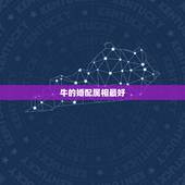牛的婚配属相最好，属相婚配牛和虎