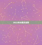2022年水瓶女运势，2021年水瓶座下半年运势？