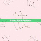 猪和什么属相不能同时相冲，哪些属相相克