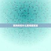 属狗的和什么属相最配鼠，狗和什么属相最配