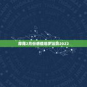 摩羯2月份感情塔罗运势2022，摩羯座2021年感情运势