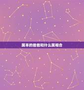 属羊的爸爸和什么属相合，属马和什么属相相冲？教你如何化解和属鼠相冲