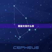 属鼠女是什么命，属马是什么命