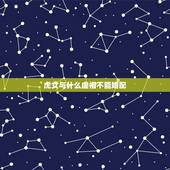 虎女与什么虚相不能婚配，属虎的最佳配对属相是什么？