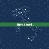 属狗和鼠相配吗，生肖狗狗跟老鼠配不配
