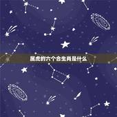 属虎的六个合生肖是什么，三合和六个合生肖是什么意思？