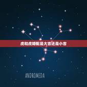 虎和虎婚配是大吉还是小吉，属虎和属虎能结婚吗