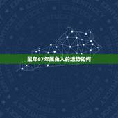 鼠年87年属兔人的运势如何，2022 年属兔的运势和财运
