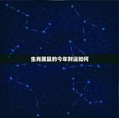生肖属鼠的今年财运如何，今年是什么年，属鼠人今年运势怎么样？