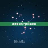 谁说我结不了婚40集全集，电视剧谁说我结不了婚