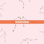 发财树怎样管理，发财树的管理要点是什么？