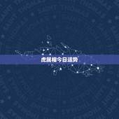 虎属相今日运势，属虎人今日运势方向与位置