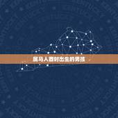 属马人酉时出生的男孩，男孩属马叫什么名字好求建议