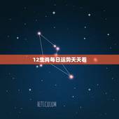 12生肖每日运势天天看，12生肖每日运程运势