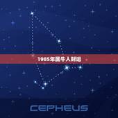 1985年属牛人财运，1985年属牛的人一生财运如何？