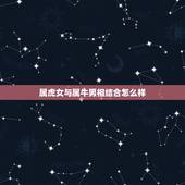 属虎女与属牛男相结合怎么样，属牛男和什么属相最配