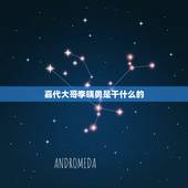 嘉代大哥李晓勇是干什么的，李晓勇与加代的关系