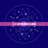 二十三岁香港是什么属相，21.22.23.岁都是哪年出生，分别属什么