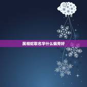 属相蛇取名字什么偏旁好，属蛇的男孩子名字带什么偏旁部首比较好