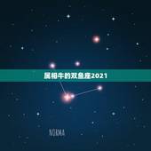 属相牛的双鱼座2021，2021年3月20日阳历属什么生肖？