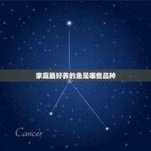 家庭最好养的鱼是哪些品种，家庭养哪种观赏鱼好.必须好养的鱼