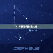 71年属猪何时走大运，71属猪的人十年大运