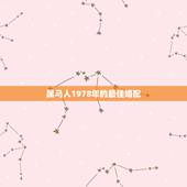属马人1978年的最佳婚配，1978年属马人的婚姻