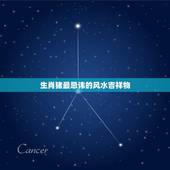 生肖猪最忌讳的风水吉祥物，属猪的最忌讳什么物件