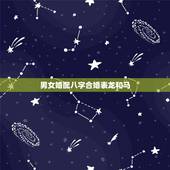 男女婚配八字合婚表龙和马，2002年属什么生肖配对